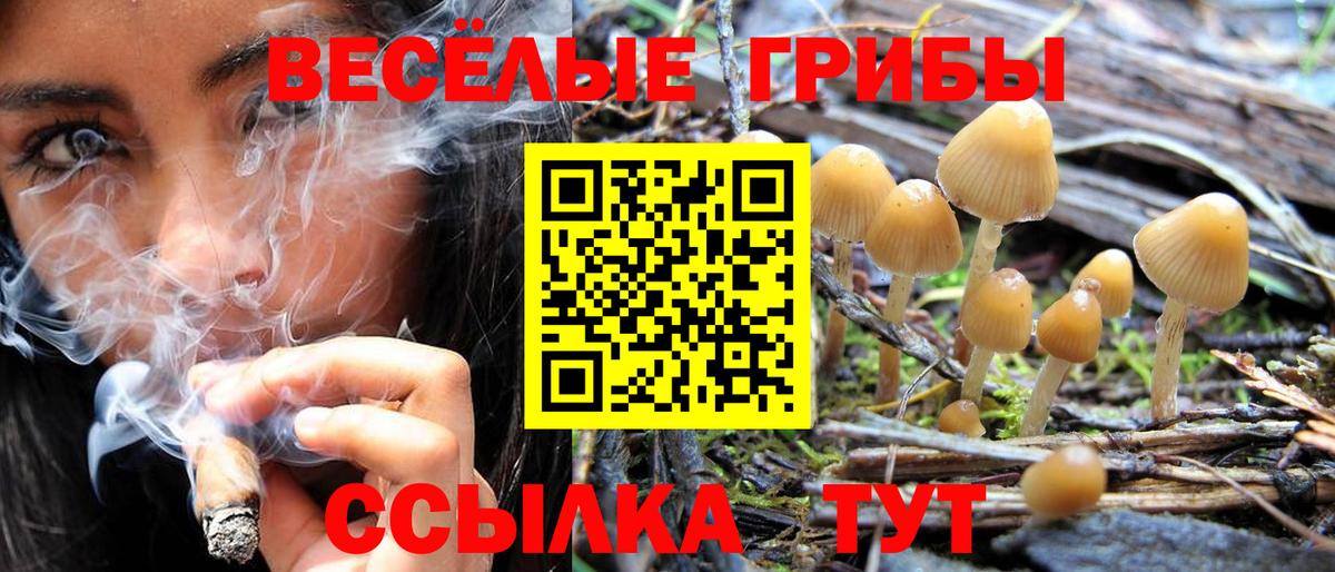 Оренбург  Галлюциногенные грибы ЛСД  Галлюциногенные грибы Psilocybe  Вход с VPN 
