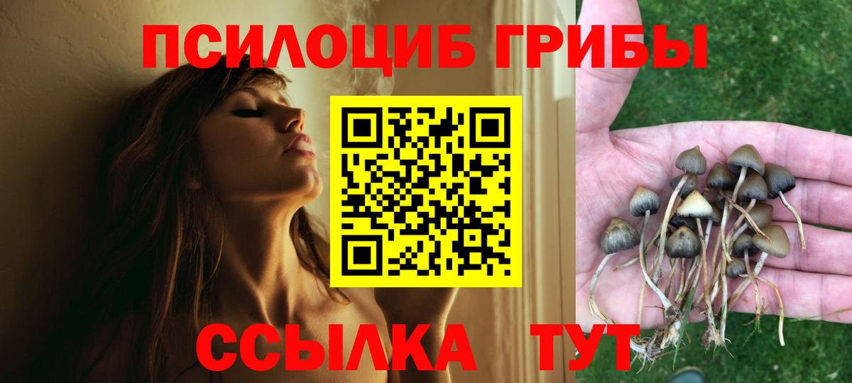 Псилоцибиновые грибы GOLDEN TEACHER Оренбург